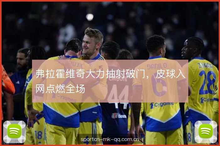 弗拉霍维奇大力抽射破门，皮球入网点燃全场